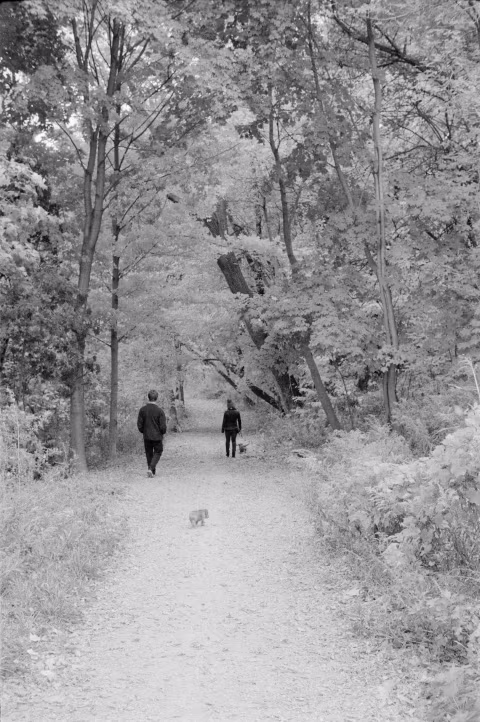 Kodak T-Max P3200 pulled to EI 800 (-2 stops) in Ilford DD-X. Shot with Voigtländer Vitessa L and green filter.