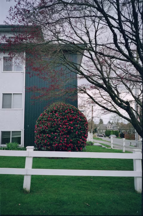 Adox Color Mission with Minolta TC-1.