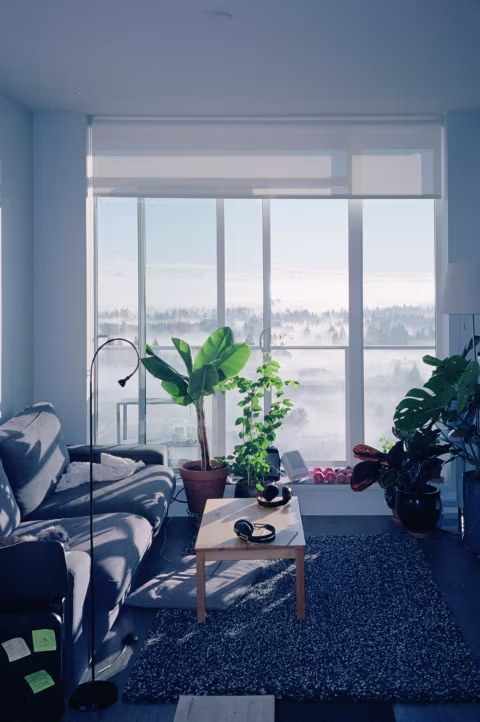 Taken on Olympus Mju II and Kodak Pro Image 100. The flash (in fill mode) brightened up the shadows — particularly the dark carpet, flower pots and the shady side of the couch — while keeping the exposure right for the intense outdoor light.