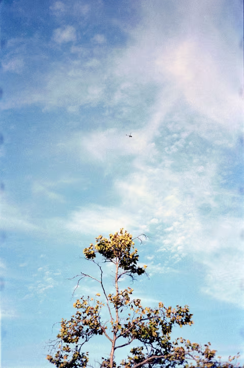 Portra 160 with Rollei 35 S.