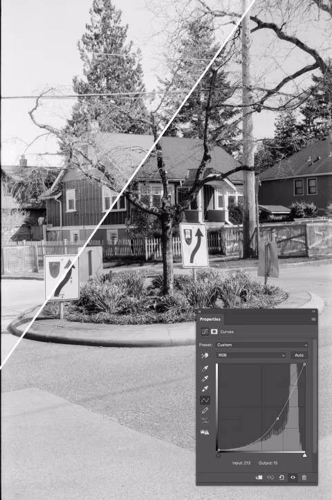 Kosmo Foto Mono 100 with Voigtländer Vitessa A with Photoshop Curves applied after scanning.