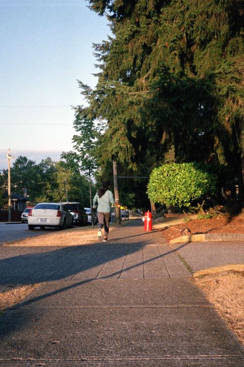 Fujicolor “Industrial” 400’s saturated greens and reds during the golden hour.