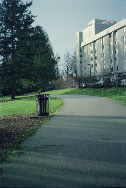 Kodak Ultramax 400 with Minolta AF-S Quartz.