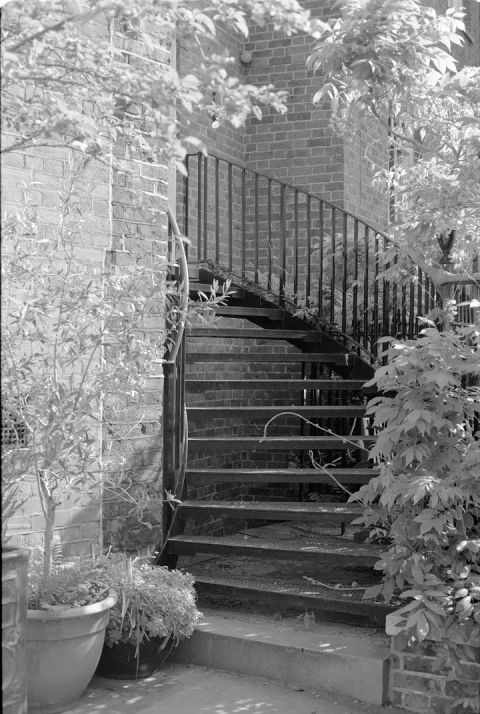 Hidden away behind busy Fleet Street lies Temple Church and the Middle Temple. In the sanctuary of the churchyard, I found this iron spiral staircase, which provided me this lovely composition framed by the trees and plants. Shot on Kodak Panatomic-X film, and developed in HC-110 / © Michael Elliott