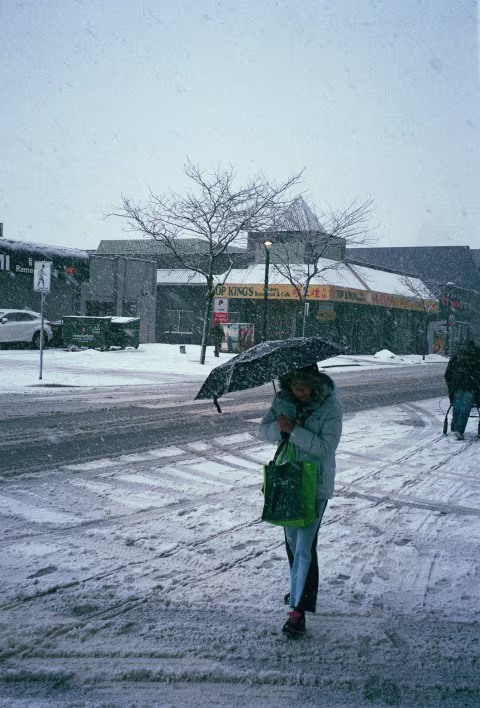 Large image.