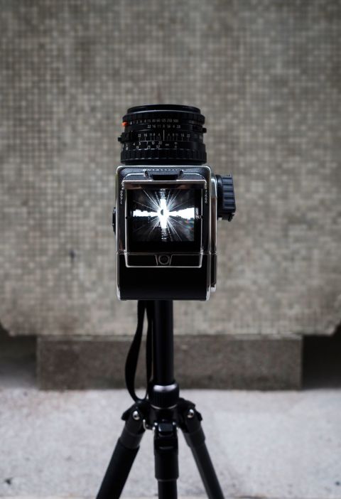 Hasselblad 503CW with the CFV-50C digital back.