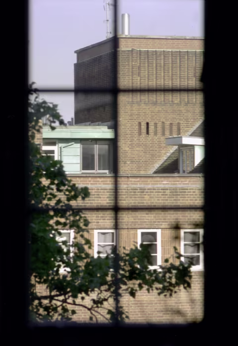View out of the window, May 2020, taken with an Olympus PEN FV and a Zuiko 100/3.5 on Kodak Vision motion picture film, ISO 50. ECN-2 process carried out by a commercial lab.