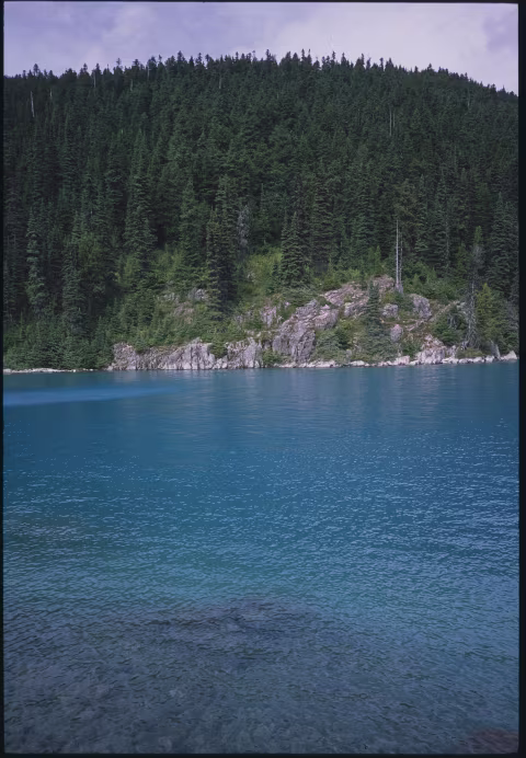 Provia 100F with Minolta TC-1.