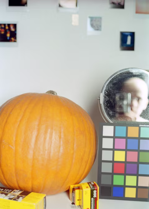 Large image.