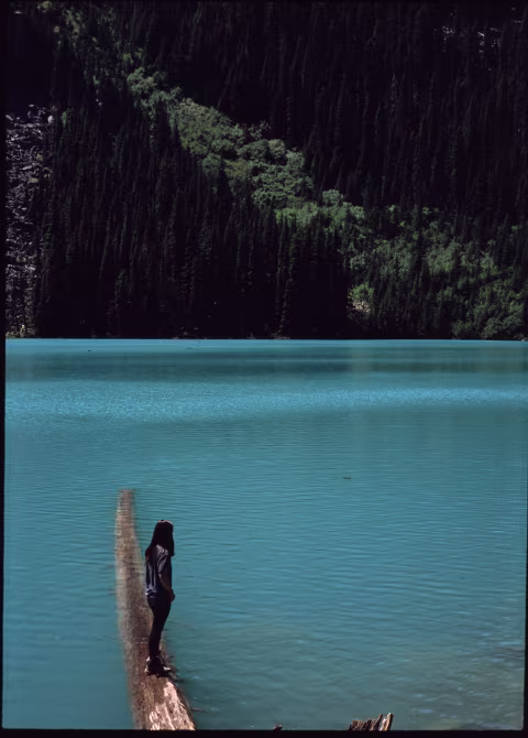 Olympus 𝒇2.8 E.Zuiko Auto-S Pancake SLR Lens with Provia 100F.