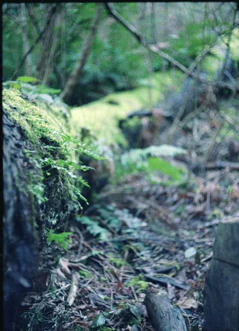 Kodak Portra 160 with Olympus f/1.8 F.Zuiko Auto-S.