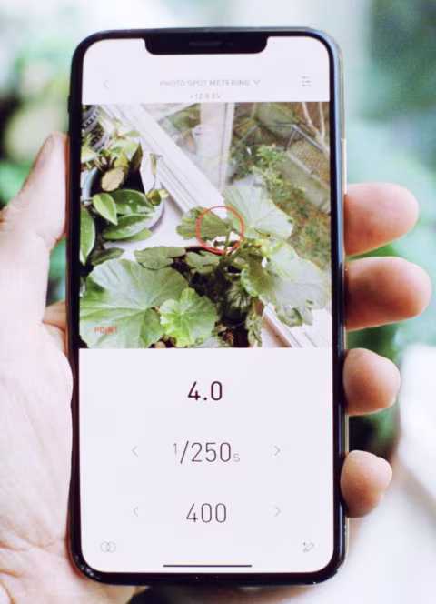 Lumu light meter recommends an aperture of 𝒇4.0 for a shutter speed of 1/250s and an ISO 400 film. This is equivalent to 𝒇2.8 with 1/500s, which is 5 stops darker than a fully sunlit scene (Sunny 16 -5). 
