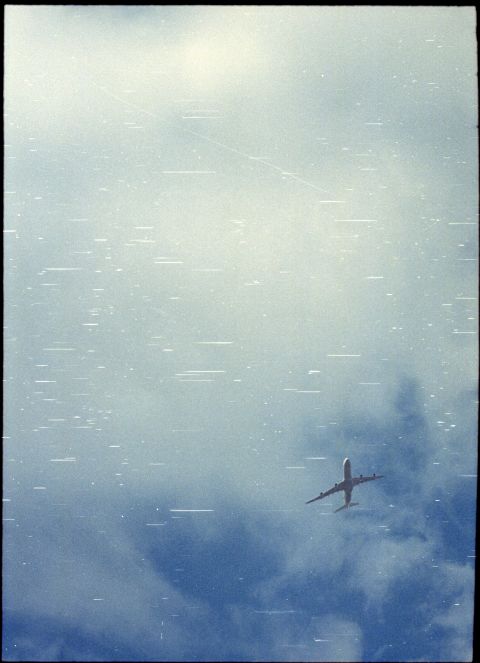 Damaged scan — CineStill 50D with Olympus PEN half-frame.