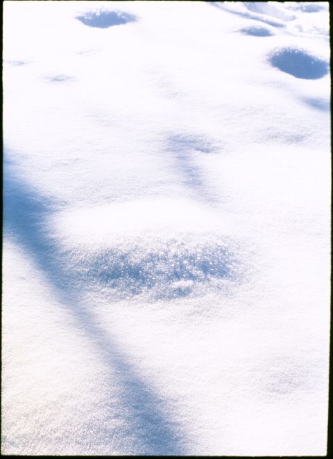 Fujifilm Velvia 50 with Olympus PEN FV. Though this image is captures a sun-lit portion of a snow bank, there are no hard shadows, giving slide film just enough dynamic range to capture the texture. If you’re planning to make a similar image, consider bracketing your exposures.