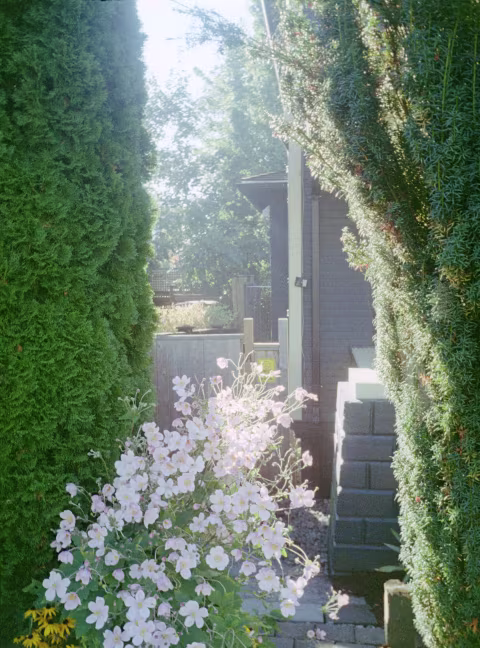 Kodak Gold 200 with Ricoh Auto Half E2.