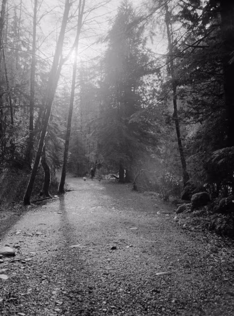 Olympus PEN W with Kodak T-Max 100, pushed +1 to EI 200.
