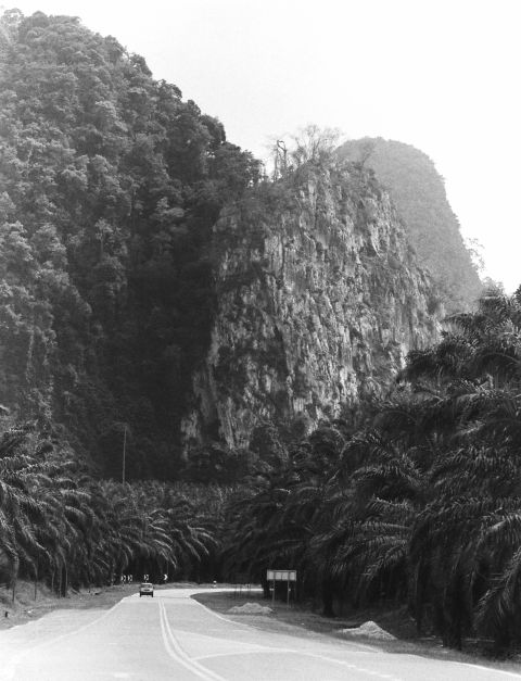 “Sang Kancil,” shot with Nikon fe2/180mm on Bergger Pancro 400. Gua Musang, Malaysia.