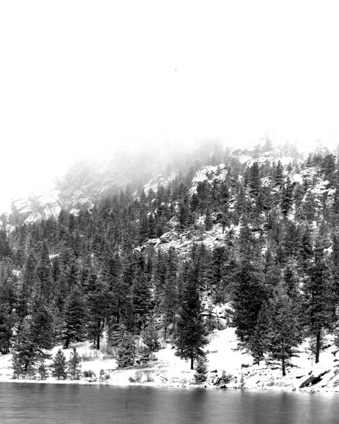 Lily Lake #2. Rocky Mountain National Park, Co 4x5