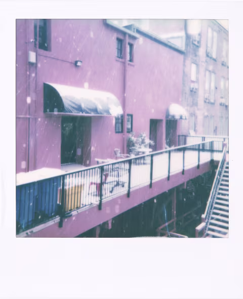 Large image.