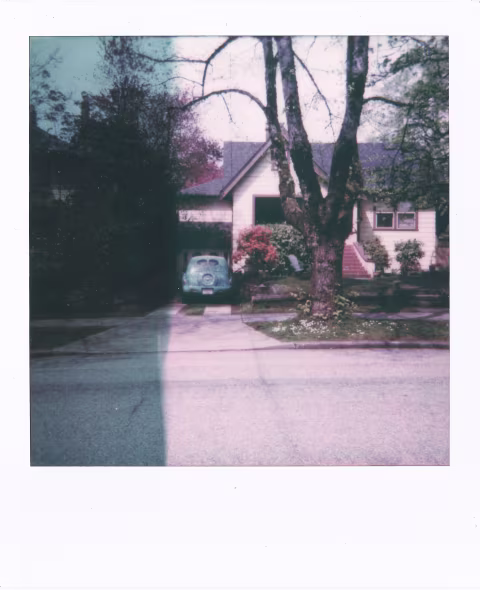 Large image.