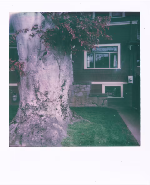 Large image.