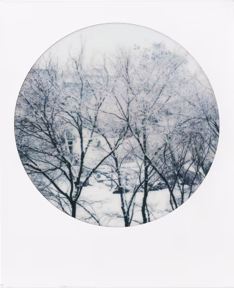 Large image.