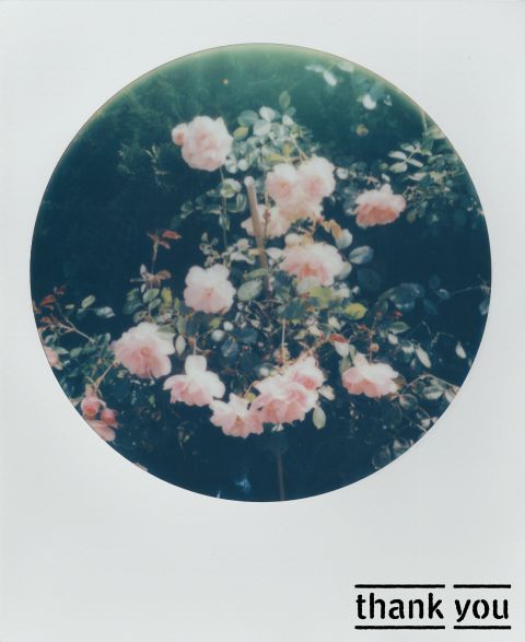 Small image.