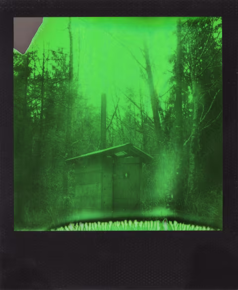 Polaroid 600 Green Duochrome edition, with an unmodded SX-70.