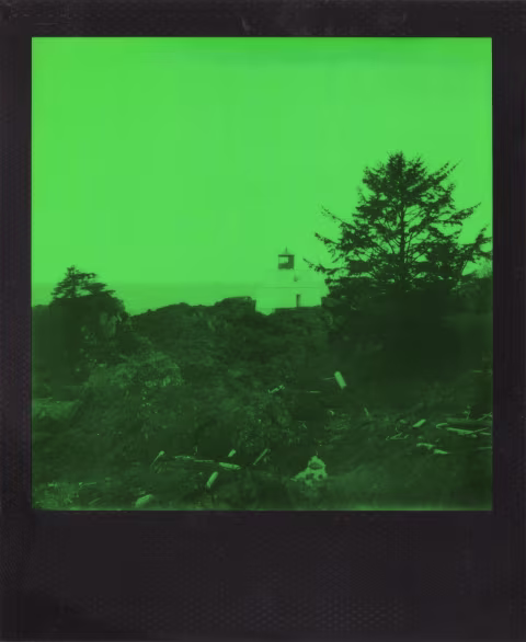 Large image.
