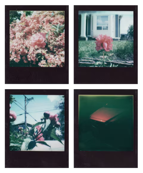 Polaroid Go Black edition frames. The bottom-right exposure was taken through my polarized sunglasses.
