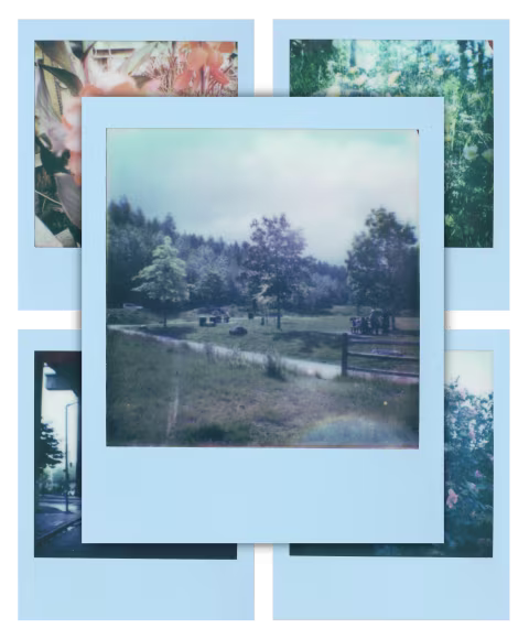 Polaroid Go Powder Blue edition frames.