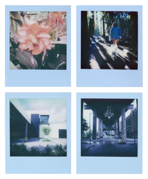 A few local parks and attractions with Polaroid Go Powder Blue edition frames.