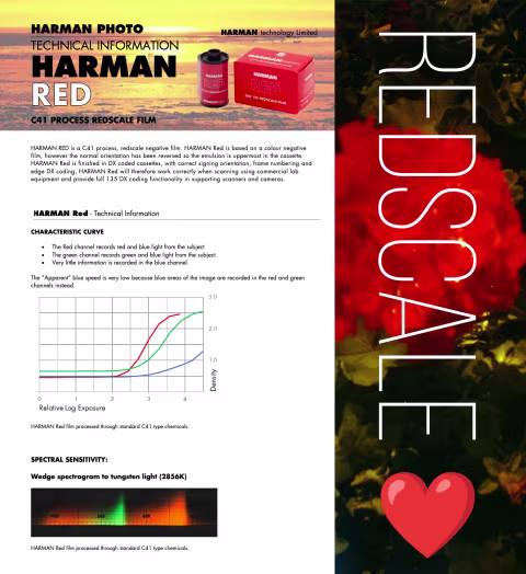 New colour film: Harman Red 125!
Harman, the company that makes the famous black-and-white Ilford emulsions, has just…