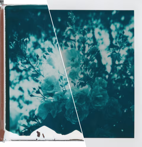 Getting better Polaroid Reclaimed Blue scans (brighter highlights, Newton rings gone, and sharper image) by removing th…
