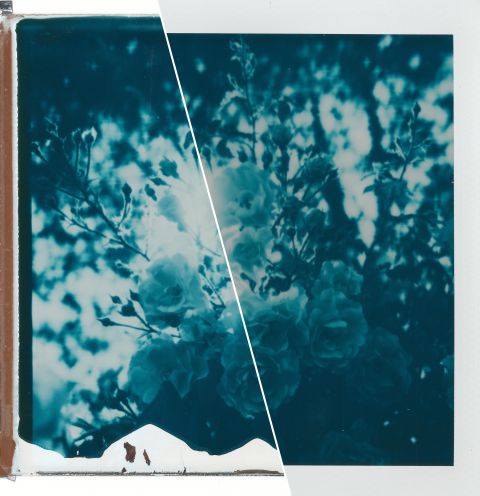 Getting better Polaroid Reclaimed Blue scans (brighter highlights, Newton rings gone, and sharper image) by removing th…