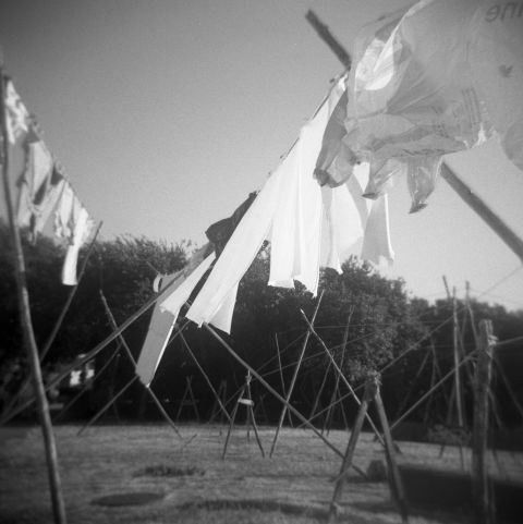 Windy day, ILFORD 400, Holga 120GFN.