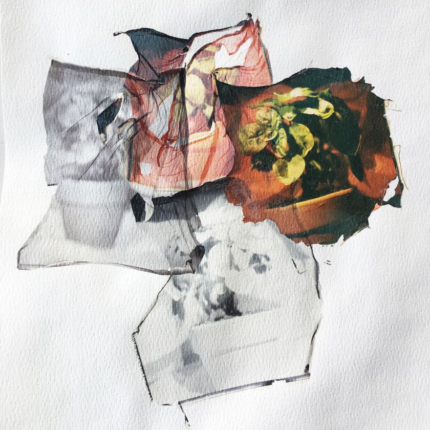 Polaroid Emulsion Lifts and Transparencies: Printable PDF