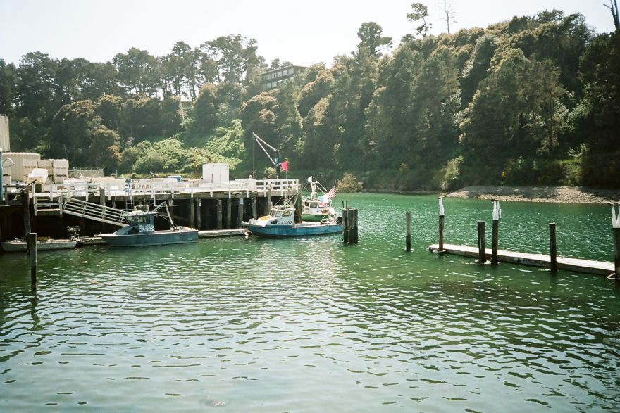 On the Waterfront: Photographing Noyo Harbor, California