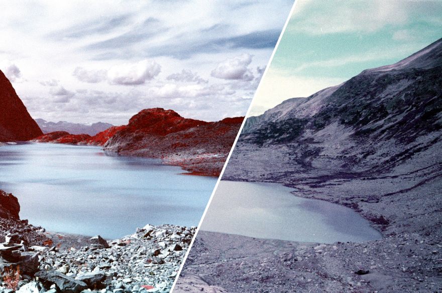 Shooting Kodak Aerochrome vs. Lomochrome Purple