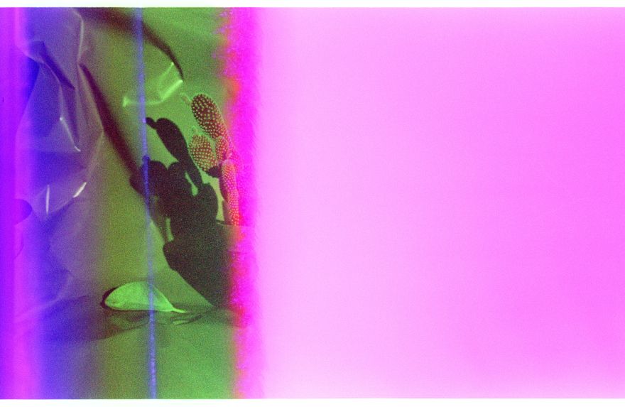 Color Inversion Film Machine “Greenscaling” Aerochrome + New Film Inversion Tool