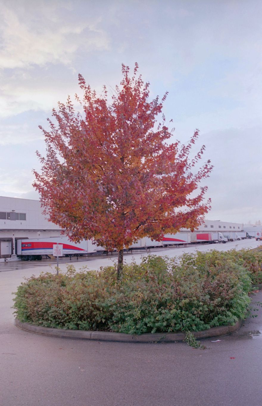 the-canada-post-strike-is-delaying-product-shipments-including-ones