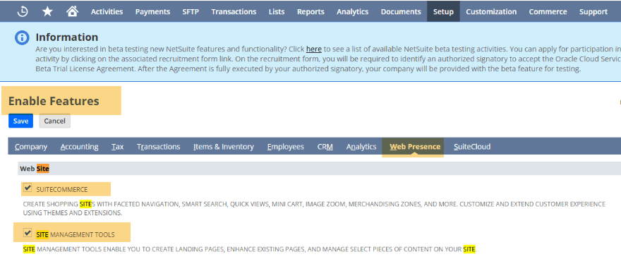 NetSuite Enable Features Web Presence