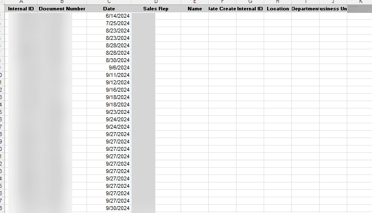 Initial CSV File with Blank Columns