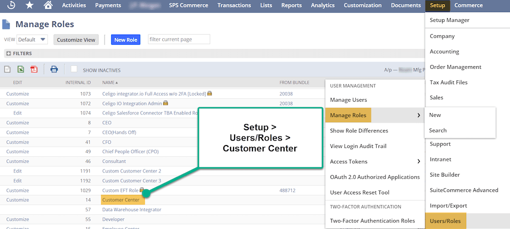 NetSuite Setup Users Roles Customer Center NetSuite