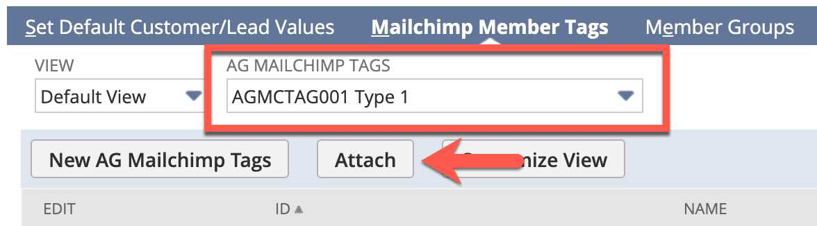 AG Mailchimp Tags value highlighted in red on the page.