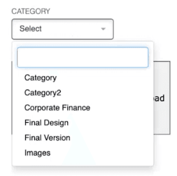 File Category NetSuite Document Management