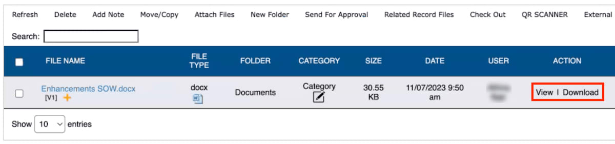 Document Details NetSuite File Management