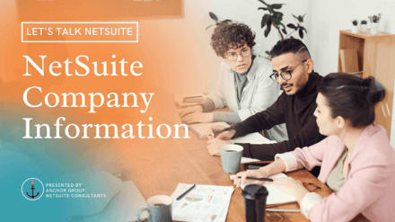 Overview of NetSuite, highlighting its role in providing cloud-based enterprise resource planning solutions.