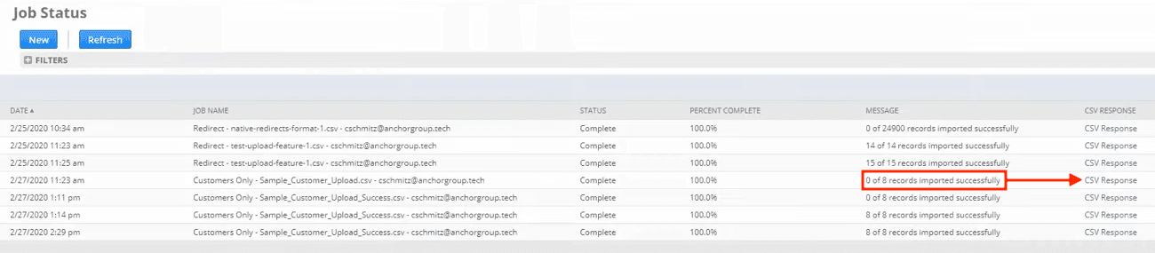 NetSuite Import Job Status Complete