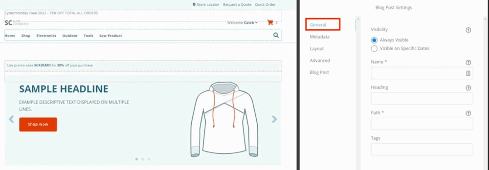 General blog post settings example display.